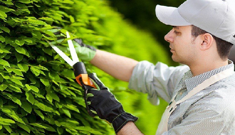 professional gardener services